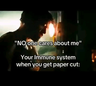 1.8 trillion white blood cells care about you