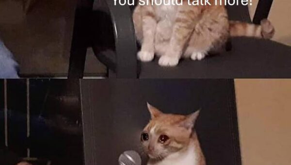 Sad life 💔