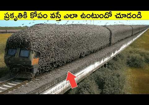 ప్రకృతికి కోపం వస్తే ఎలా ఉంటుందో చూడండి | Unbelievable Natural Moments caught on camera