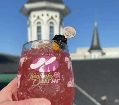 Horse Racing Cheers GIF by Kentucky Derby