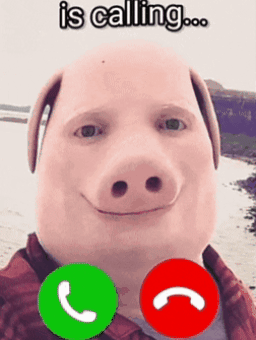 John Pork GIF by STRAPPED!