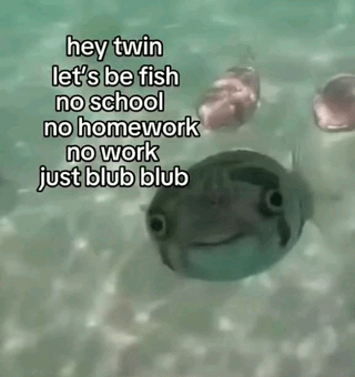 Blub blubb
