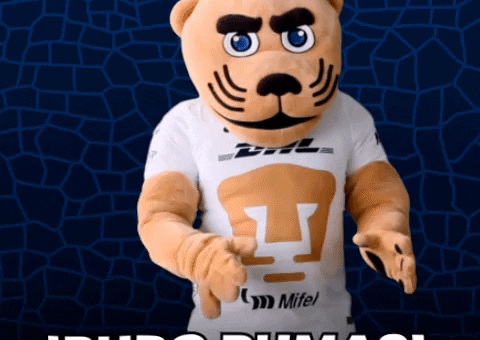 Mexico Puma GIF by Pumas MX