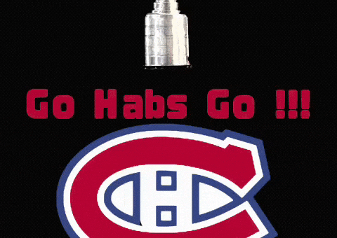 Hockey Go