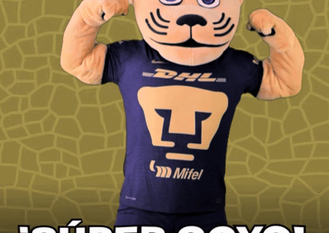 Soccer Futbol GIF by Pumas MX