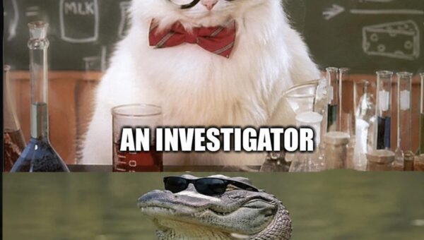 Alligator in a vest