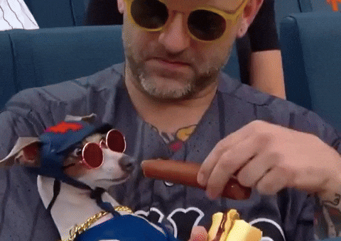 New York Dog GIF by Respective