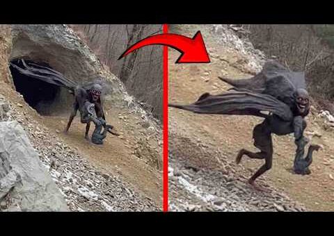 Incredible Moments Caught on Camera
