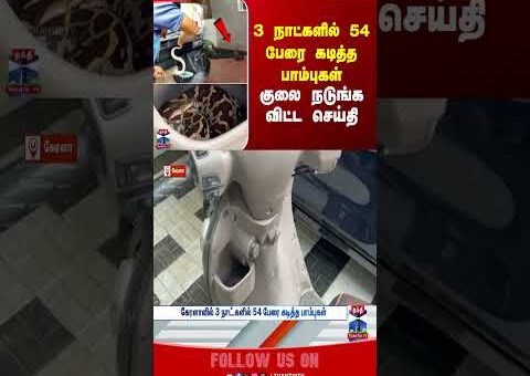 kerala | Snake | viralvideo | snakecaught