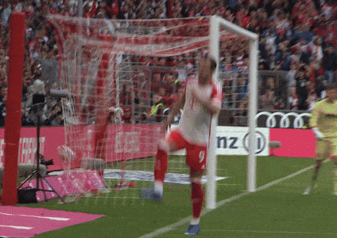 Harry Kane Sport GIF by FC Bayern Munich
