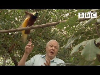 Happy Birthday Sir David Attenborough – 100 years old today! Here he is doing what…