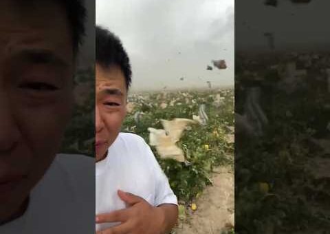 Nature’s Ultimate Fury: Insane Destructive Moments Caught on Camera! 🌪️😱