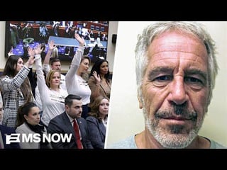Lawmakers to hold hearing in Palm Beach with Epstein survivors, focus on ‘sweetheart’ deal