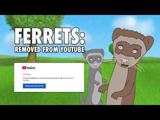 FilmCow – YouTube has removed “Ferrets”