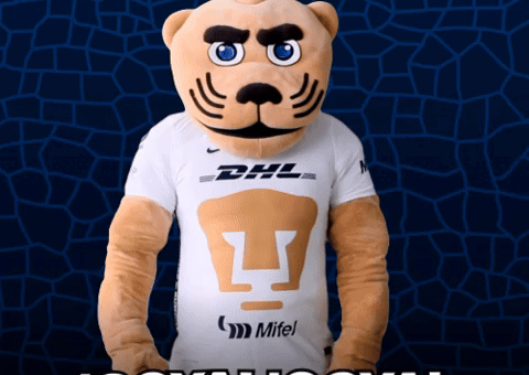 Soccer Futbol GIF by Pumas MX