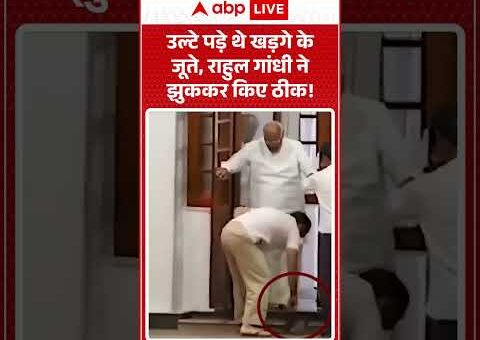 Rahul Gandhi Viral Video : उल्टे पड़े थे Mallikarjun Kharge के जूते, राहुल ने हाथों…