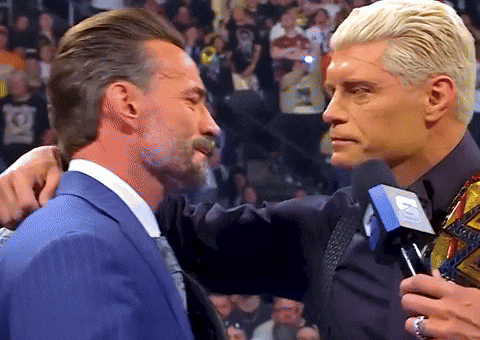 Cm Punk Hug GIF by WWE