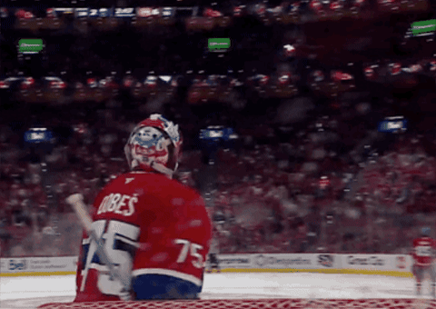 Stanley Cup Hockey