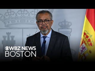 Head of WHO says global leaders should prepare for more hantavirus cases