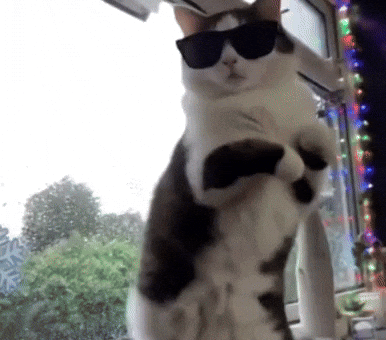 Mr Bean Dancing