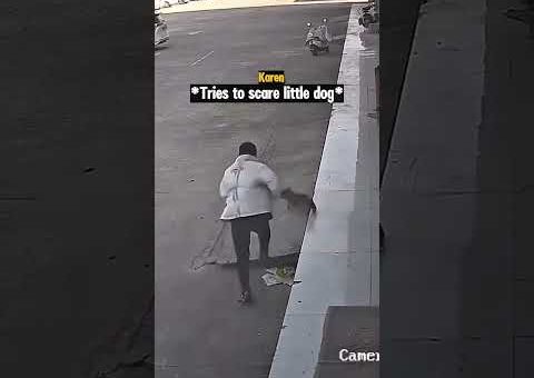 Karen Tries To Scare Little Dog and Gets Instant Karma