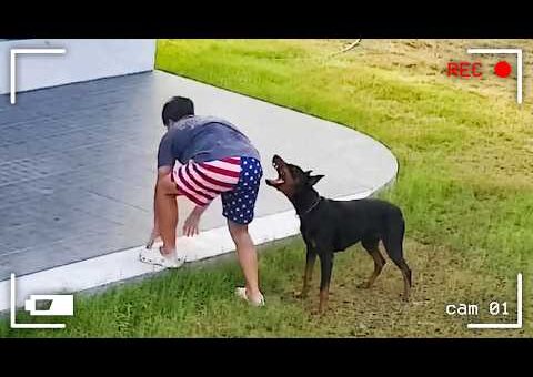 Caught in 4K! Funniest Security Camera Fails