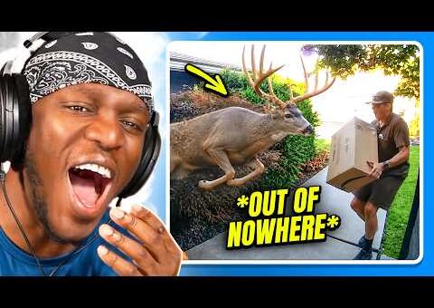 FUNNIEST MOMENTS CAUGHT ON CAMERA