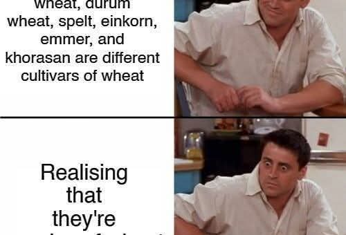 Return of the Meme: 1687
