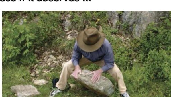 Under the rock