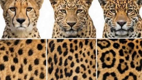 Know your spots