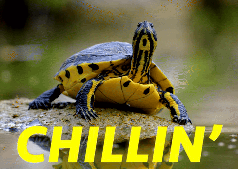 Chilling Chill Out GIF by Sealed With A
