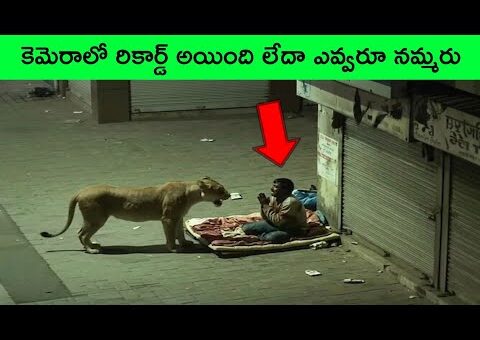 Most UNBELIEVABLE Moments Ever Caught On Camera 8 | facts in telugu | bmc facts | Telugu facts