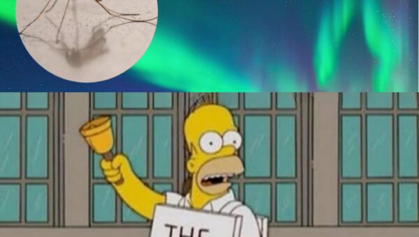 We still have antartica