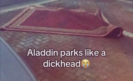 Genie, teach me how to park