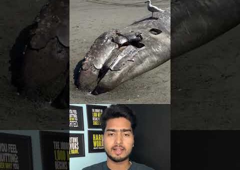 सूरत के डुमस बीच पर समुद्र 1000 फीट पीछे हटा, लोग देखकर दहशत में 😳…