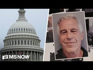 What questions Congress has for the guard on duty the night Epstein died