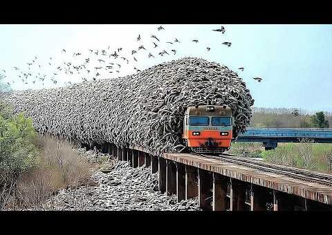Moments Filmed Seconds Before Disaster | Most Unbelievable Train Moments Caught on Camera