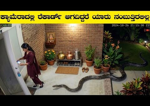 ಕ್ಯಾಮೆರಾದಲ್ಲಿ ರೆಕಾರ್ಡ್ ಆಗದಿದ್ದರೆ ಯಾರು ನಿಜ ಅಂತ ನಂಬುತಿರಲಿಲ್ಲ|Unbelievable Moments Caught on Camera