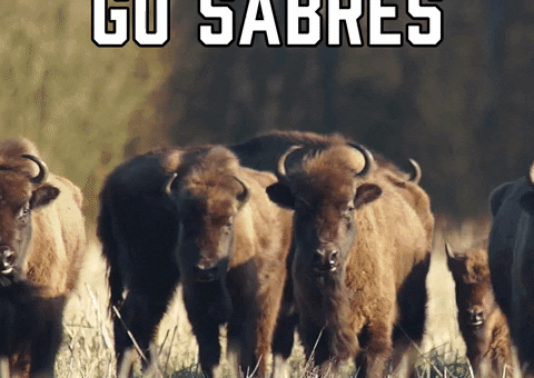 Buffalo Sabres Sport GIF by Sealed With A