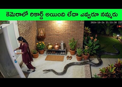Most UNBELIEVABLE Moments Ever Caught On Camera 9 | facts in telugu | bmc facts | Lucky people