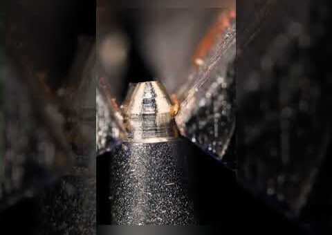 macro compilation #asmr#macro#closeup#relaxing#satisfying