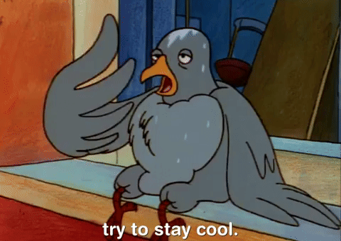 Heat Wave Nicksplat GIF by Hey Arnold