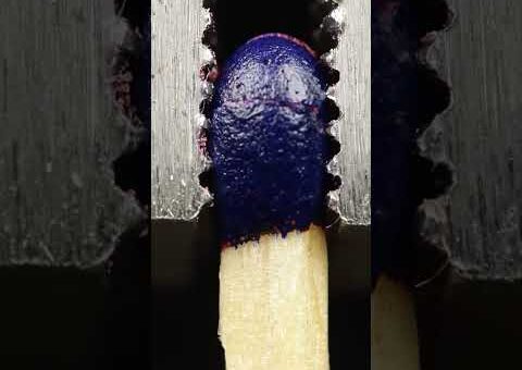 macro compilation #asmr#macro#closeup#relaxing#satisfying