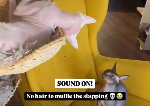 Beating the meat