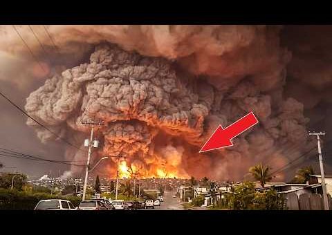 Incredible Moments Caught on Camera 2026 New Update #4