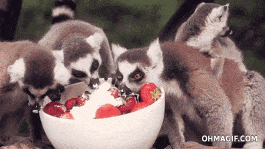 Strawberries And Cream Eating