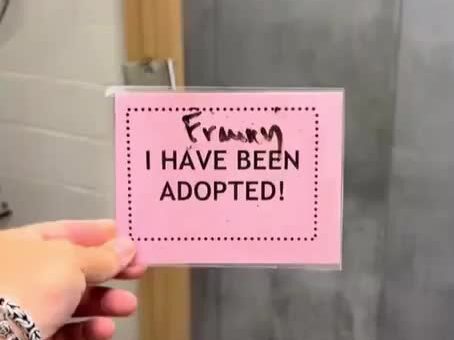 I’m not crying. It’s the onions. Joe Kay has helped many animals get their forever…
