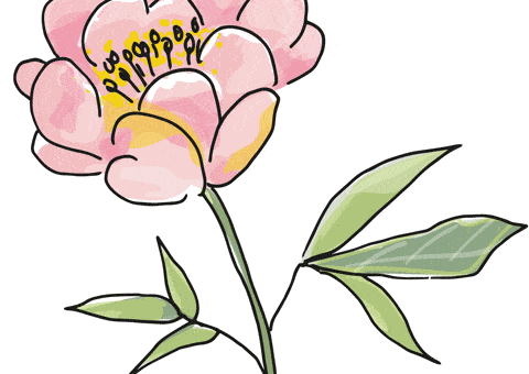 Flower Gardening GIF by krima&isa