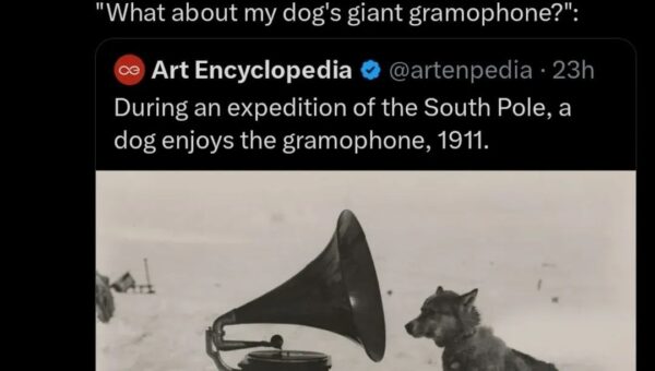 20 nice and wholesome things to brighten your day, vol 268