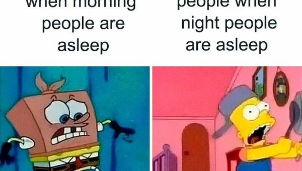 Night: silent, Morning: noisy 😅